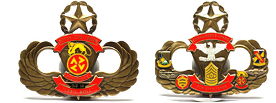 Customized Special Shaped Coins