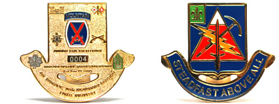 Customized Special Shaped Coins