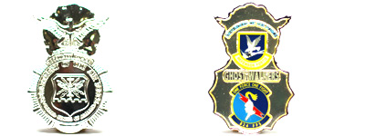 Challenge Special Shaped Coins